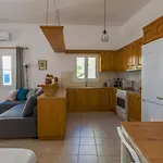 Eva House Dryos Paros