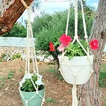 Apartment Eva House Dryos Paros Drios