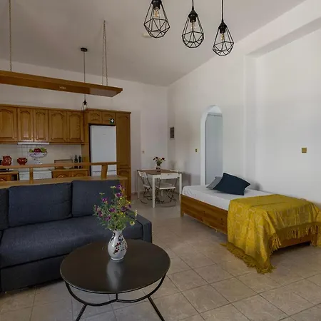 Eva House Dryos Paros * Δρυός