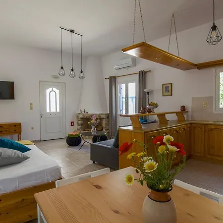 Διαμέρισμα Eva House Dryos Paros