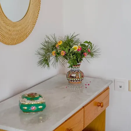 Eva House Dryos Paros * Δρυός