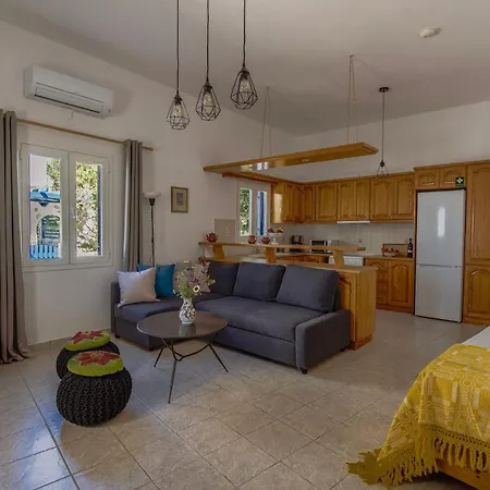 Eva House Dryos Paros Διαμέρισμα *