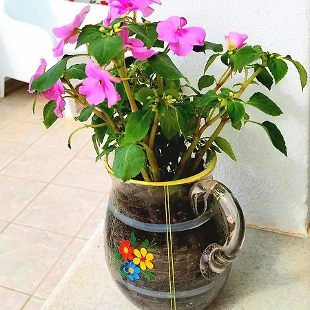 Eva House Dryos Paros Δρυός