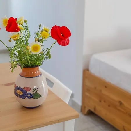 Eva House Dryos Paros Appartement